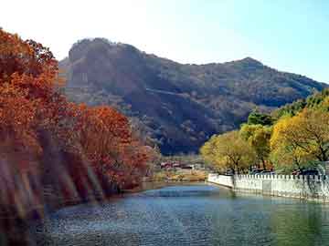 新澳门二四六天天开奖，餐巾纸机器